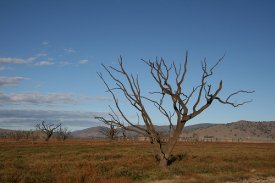 Drought is becoming an issue of increasing concern