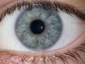 Iris recognition is one of many biometric identifiers used