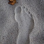 Footprint (image by Greencolander, Flickr, CC)