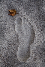 Footprint (image by Greencolander, Flickr, CC)