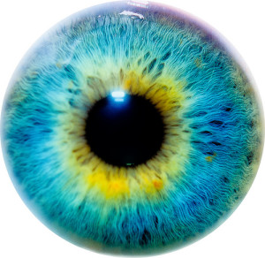Eye I (image by Thomas Tolkien, CC, Flickr)