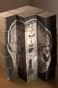 Brain Blocks - Stephen Hampshire (Flickr, CC)