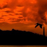 Smoke Stacks Sunset (image by Dawn Ellner, Flickr, CC)