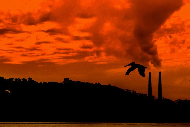 Smoke Stacks Sunset (image by Dawn Ellner, Flickr, CC)